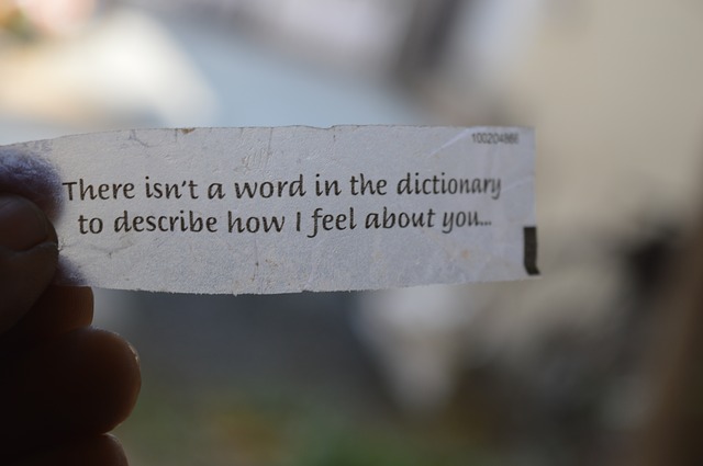 Imagem de uma pessoa segurando um bilhete com a seguinte frase: There isn´t a word in the dictionary to describe how I feel about you...