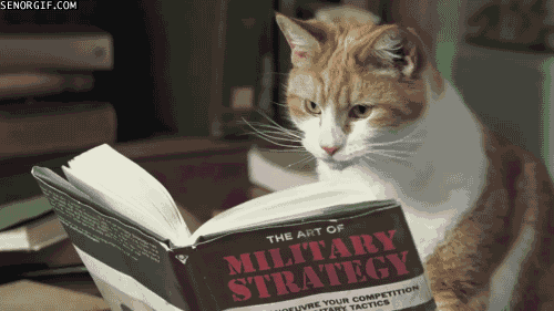 Gif de gato lendo o livro "The art of Military Strategy". Lições para priorizar chamados de TI.