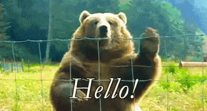 Gif urso acenando dizendo: "Hello".